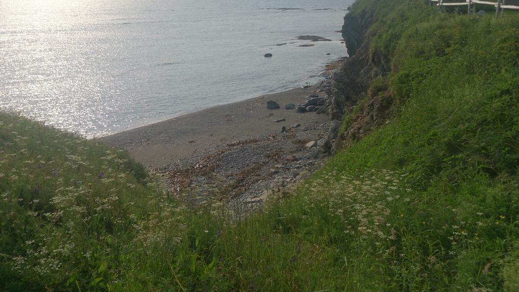Les Cabines Sur Mer Cap-des-Rosiers Bagian luar foto
