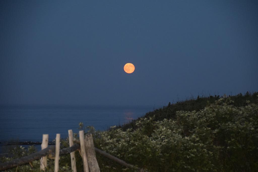Les Cabines Sur Mer Cap-des-Rosiers Bagian luar foto
