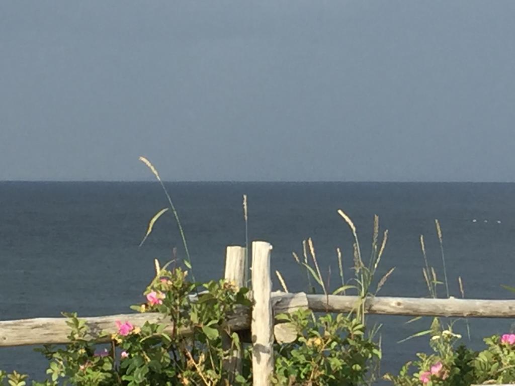 Les Cabines Sur Mer Cap-des-Rosiers Bagian luar foto